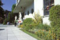 Universidad de Concepci�n